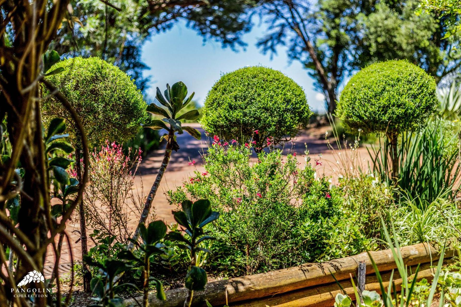 Aleah, Cathkin Estates By Euphoric Leisure Villa Champagne Valley Bagian luar foto